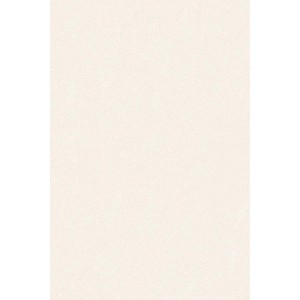 Gạch ốp 30x45 Prime Digit 05.300450.09527